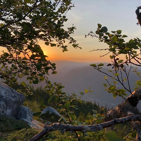 Dalen I Telemark Holiday Home With Garden Ngoại thất bức ảnh