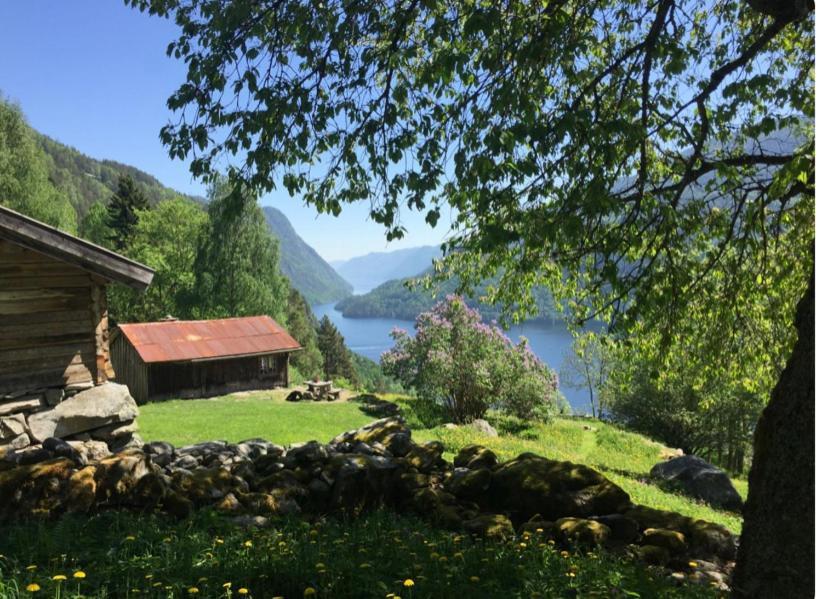 Dalen I Telemark Holiday Home With Garden Ngoại thất bức ảnh