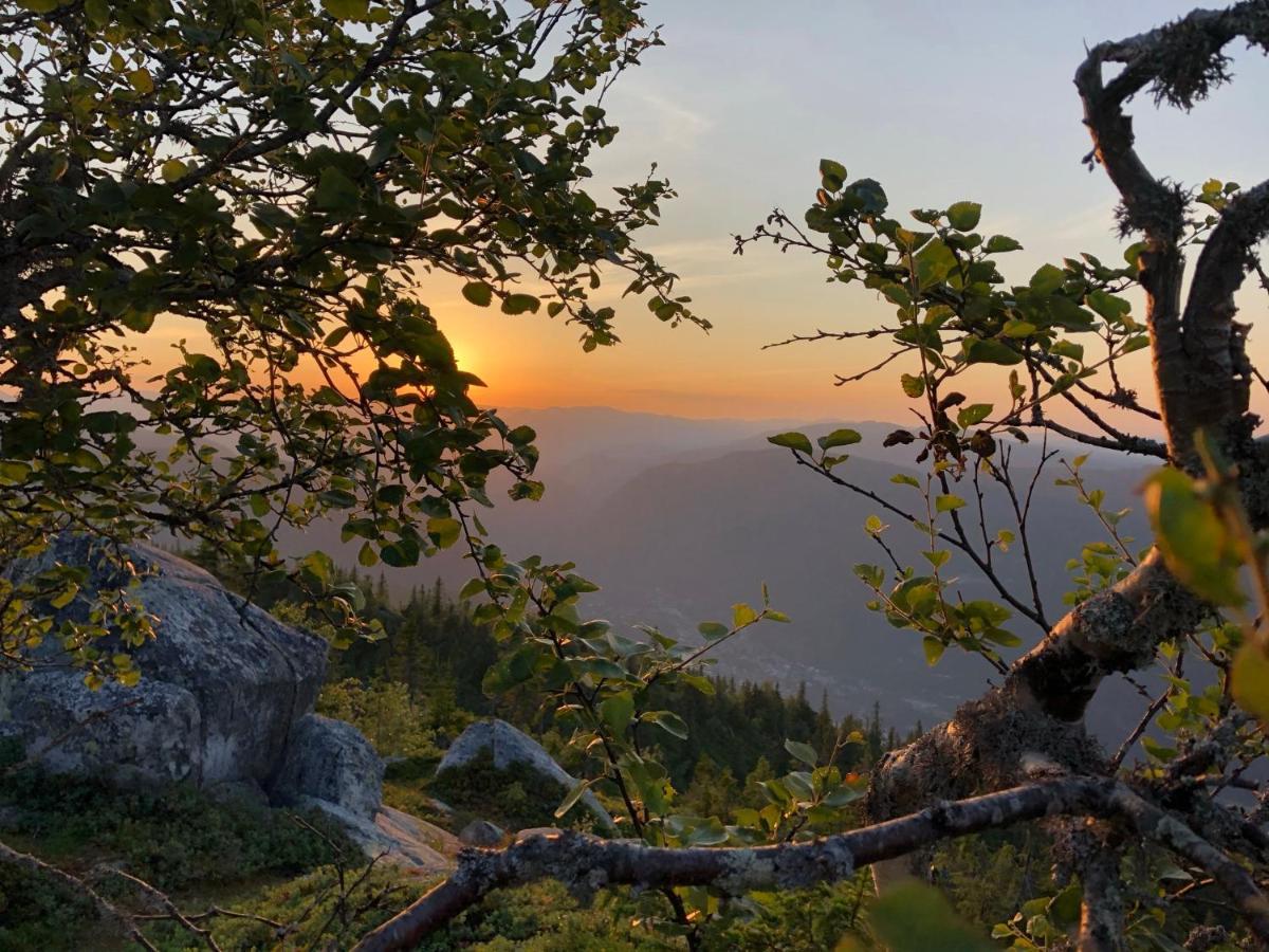 Dalen I Telemark Holiday Home With Garden Ngoại thất bức ảnh